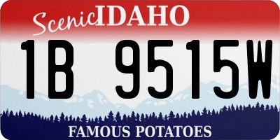 ID license plate 1B9515W