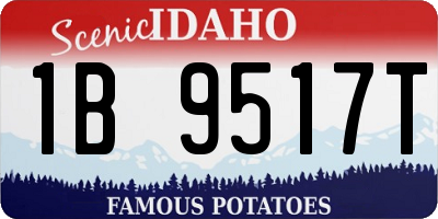 ID license plate 1B9517T