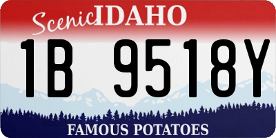 ID license plate 1B9518Y