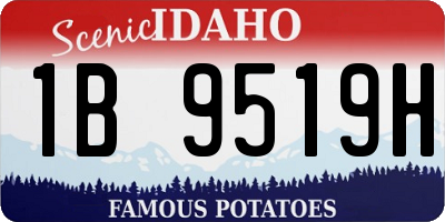 ID license plate 1B9519H