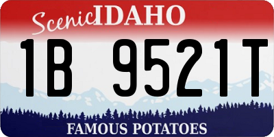 ID license plate 1B9521T
