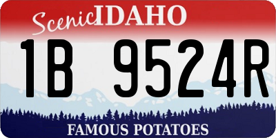 ID license plate 1B9524R