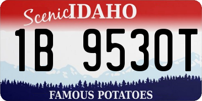 ID license plate 1B9530T