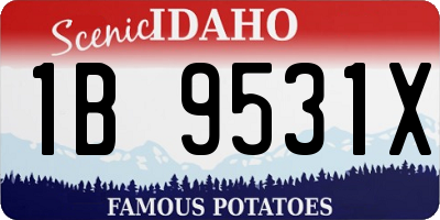 ID license plate 1B9531X