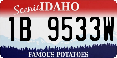 ID license plate 1B9533W
