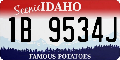 ID license plate 1B9534J