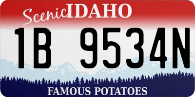 ID license plate 1B9534N