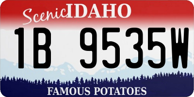 ID license plate 1B9535W