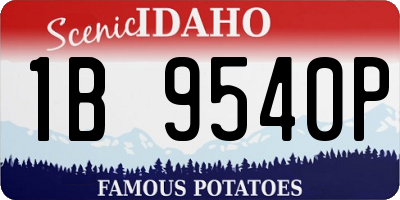 ID license plate 1B9540P