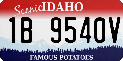 ID license plate 1B9540V