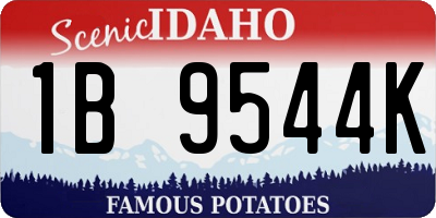 ID license plate 1B9544K