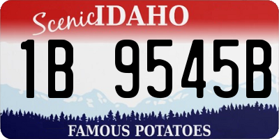ID license plate 1B9545B