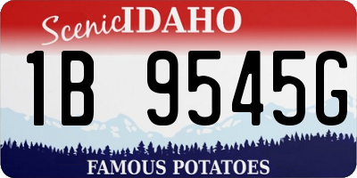 ID license plate 1B9545G