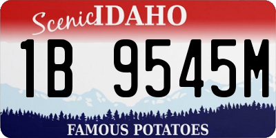 ID license plate 1B9545M
