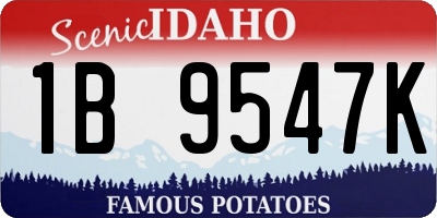 ID license plate 1B9547K