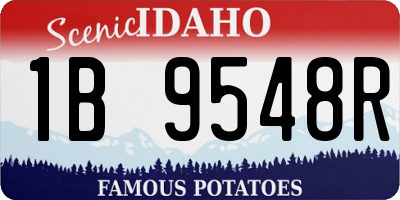 ID license plate 1B9548R
