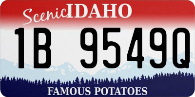 ID license plate 1B9549Q