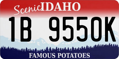 ID license plate 1B9550K