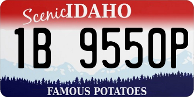 ID license plate 1B9550P