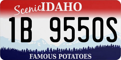 ID license plate 1B9550S