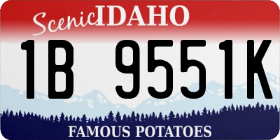 ID license plate 1B9551K