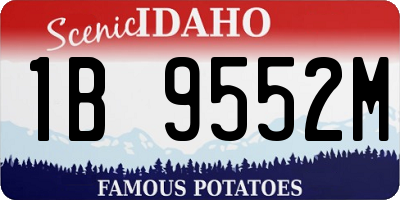 ID license plate 1B9552M