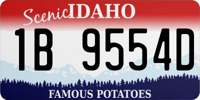ID license plate 1B9554D
