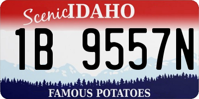 ID license plate 1B9557N