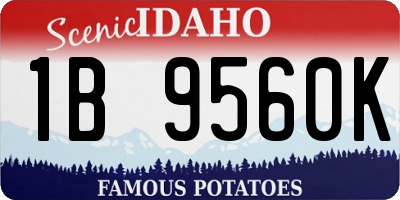 ID license plate 1B9560K
