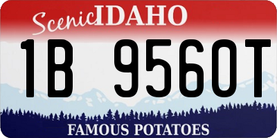 ID license plate 1B9560T