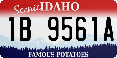 ID license plate 1B9561A
