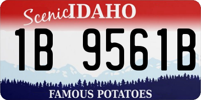 ID license plate 1B9561B