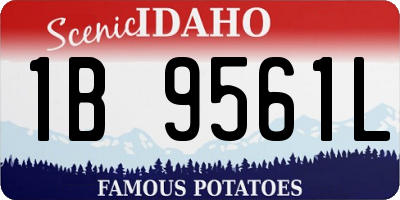 ID license plate 1B9561L