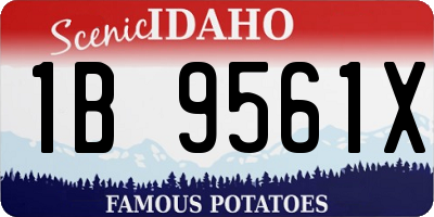 ID license plate 1B9561X
