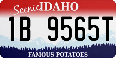 ID license plate 1B9565T