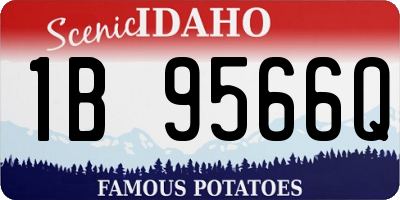 ID license plate 1B9566Q