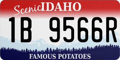 ID license plate 1B9566R