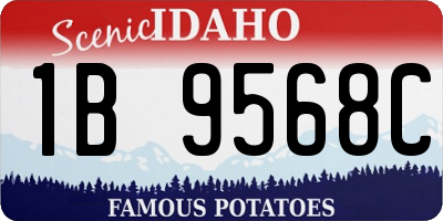 ID license plate 1B9568C