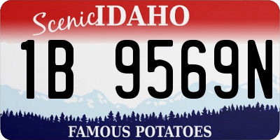 ID license plate 1B9569N