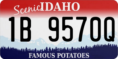 ID license plate 1B9570Q