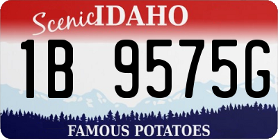 ID license plate 1B9575G