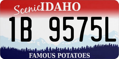 ID license plate 1B9575L