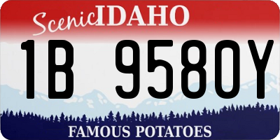 ID license plate 1B9580Y