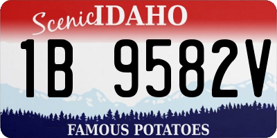 ID license plate 1B9582V
