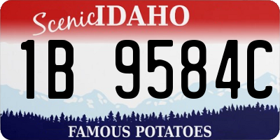 ID license plate 1B9584C