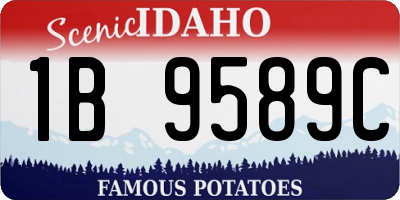 ID license plate 1B9589C