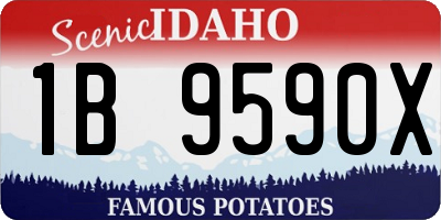 ID license plate 1B9590X