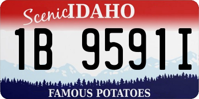 ID license plate 1B9591I