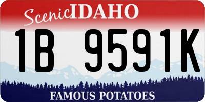 ID license plate 1B9591K