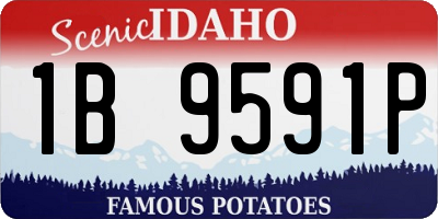ID license plate 1B9591P